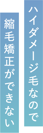 ブリーチ毛なので縮毛矯正ができない